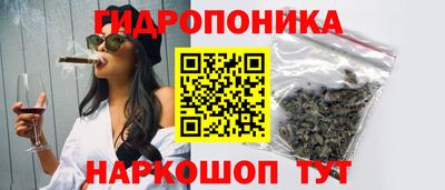 бошки Ефремов