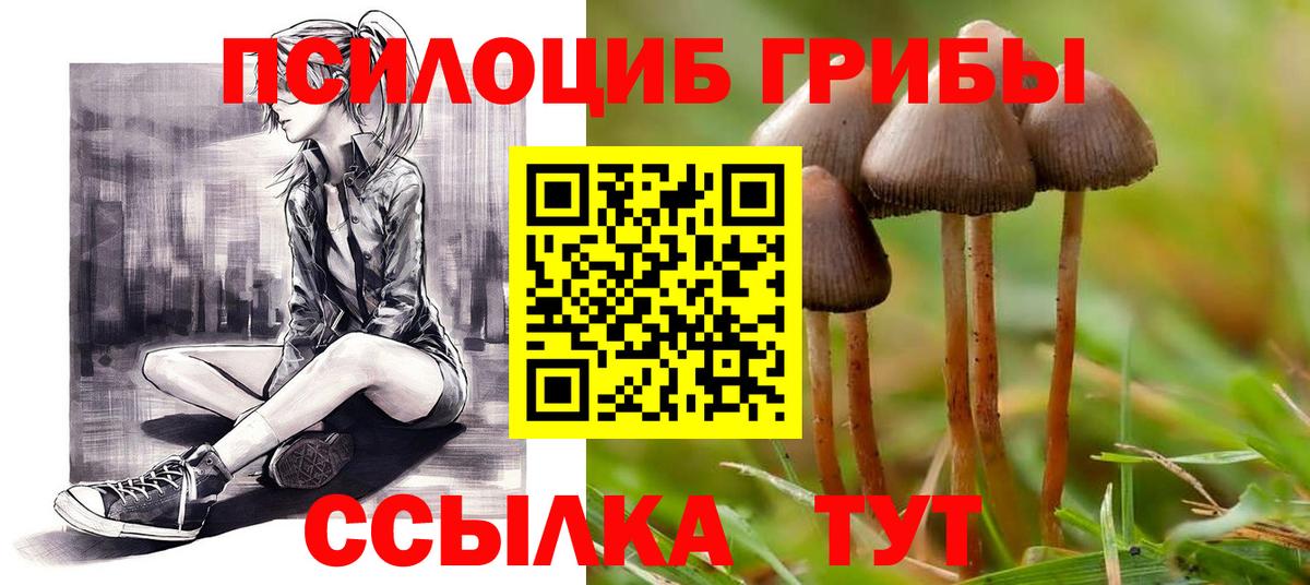 Галлюциногенные грибы мухоморы  Вход с VPN  Псилоцибиновые грибы мицелий  Барнаул 