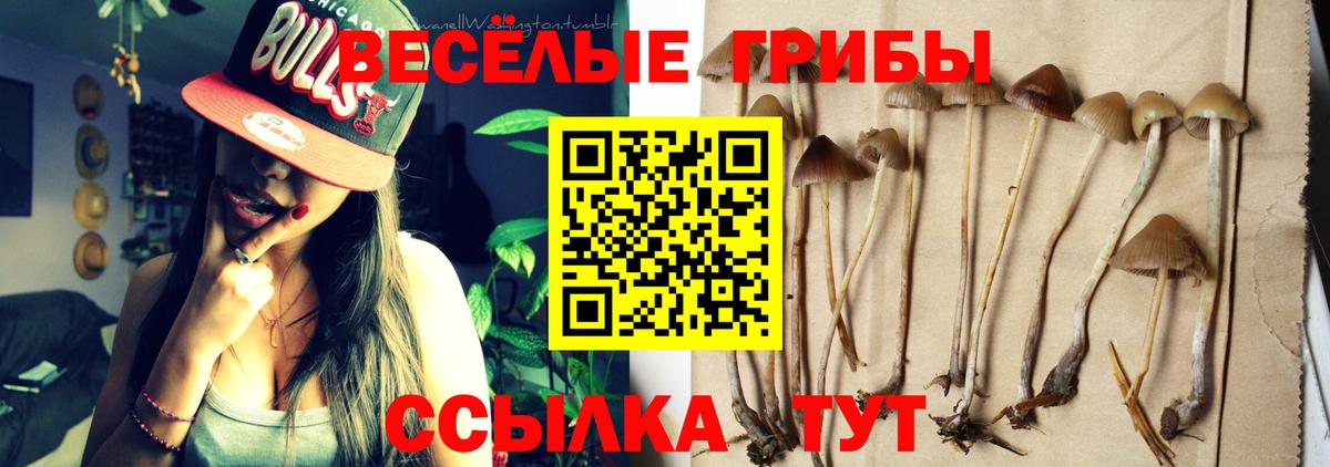 Барнаул  КОКАИН  Меф кристаллы  Alpha PVP СОЛЬ   MDMA  Гашиш  Вход с VPN  Каннабис 
